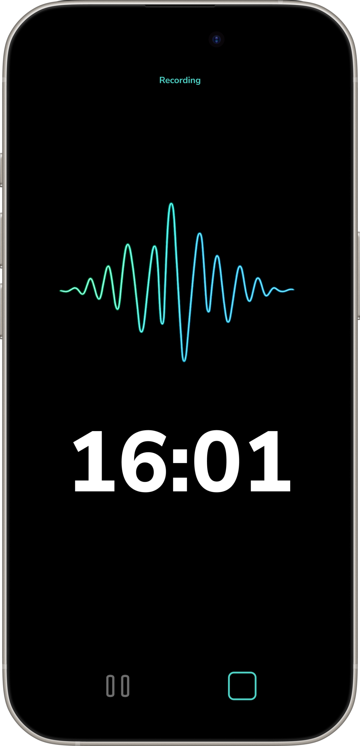 recording image